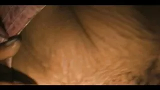 Zelante bianco scopata ebano ragazza in una film porno vecchie signore torta calda